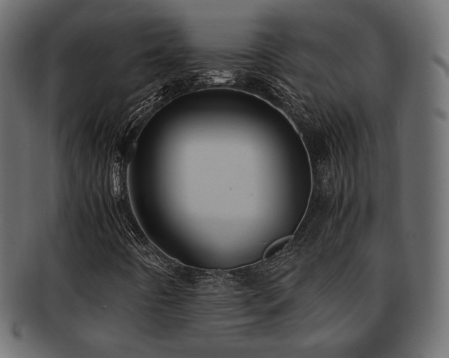 X0000092311442200709141343