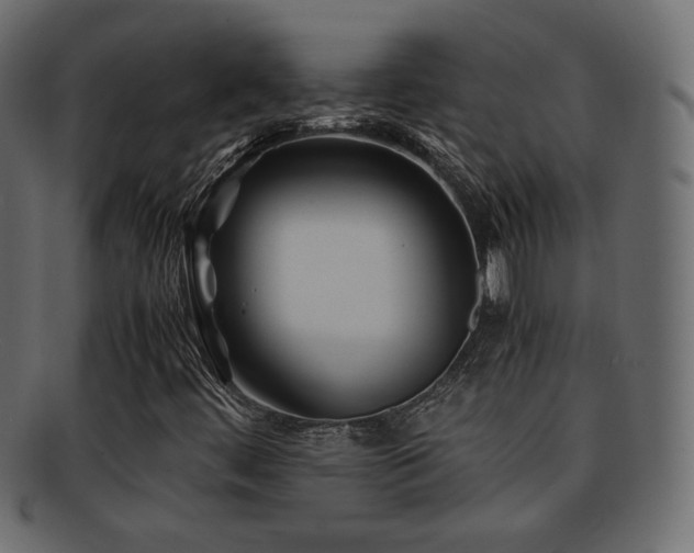 X0000092311444200709141343