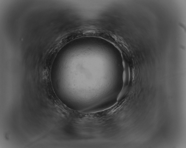 X0000092311445200709141343