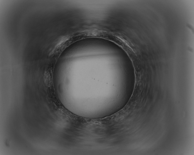 X0000092311446200709141343