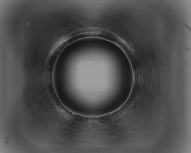 X0000092311448200709141343
