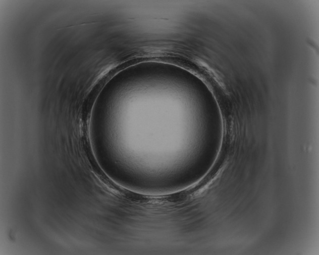 X0000092311449200709141343
