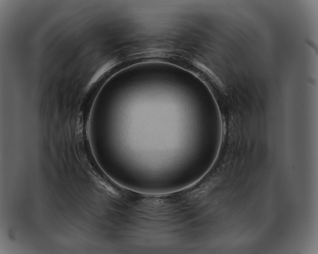 X0000092311450200709141343