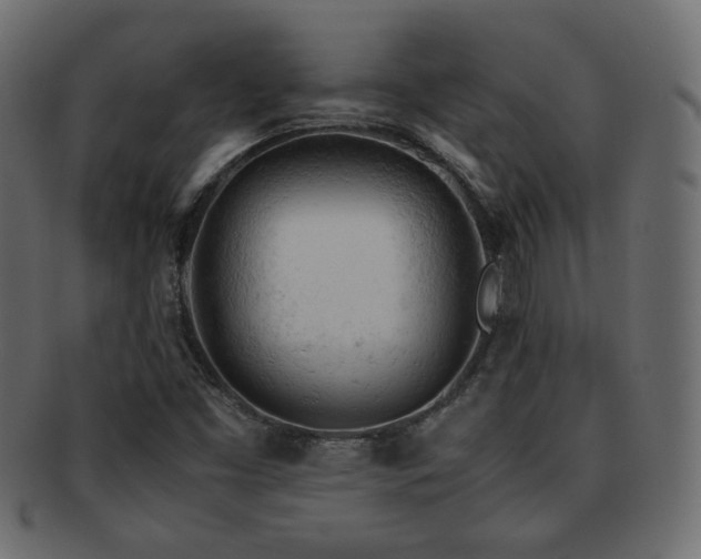 X0000092311453200709141343
