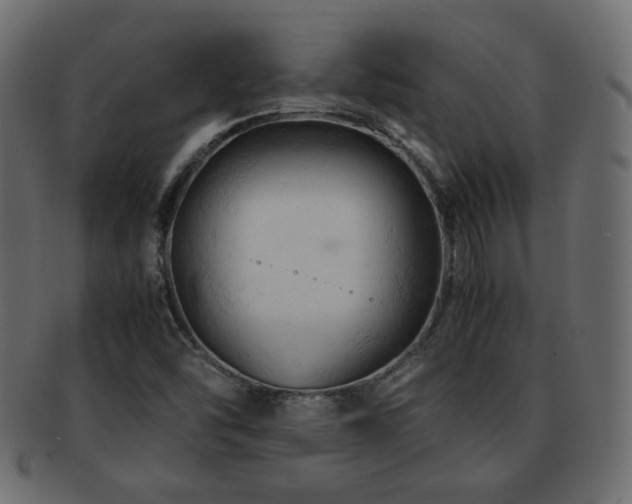 X0000092311454200709141343
