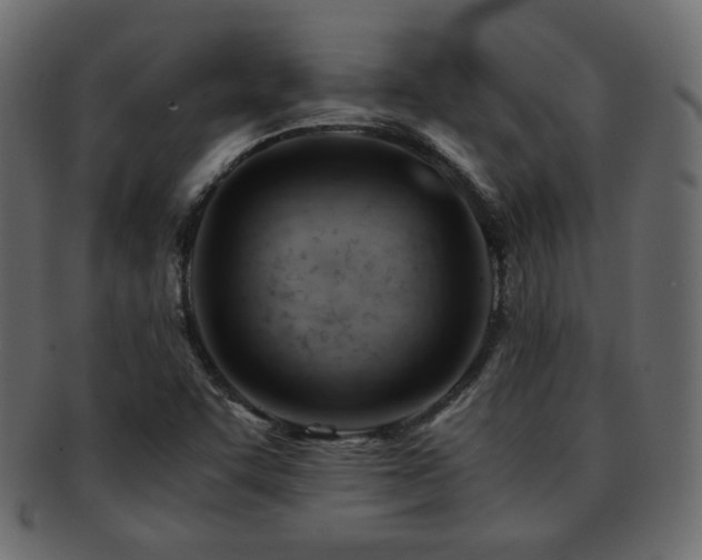 X0000092311455200709141343