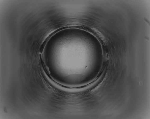 X0000092311457200709141343