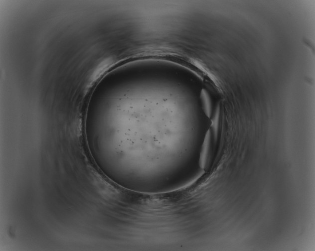X0000092311459200709141343