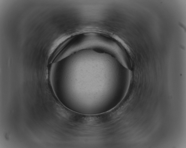 X0000092311461200709141343