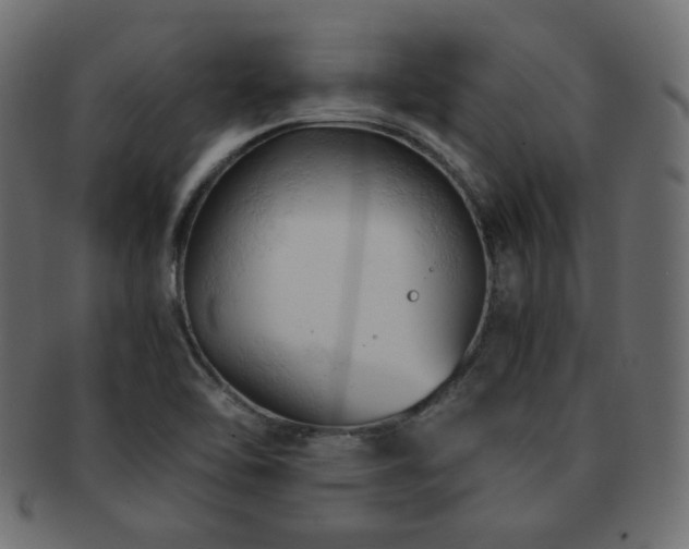 X0000092311462200709141343