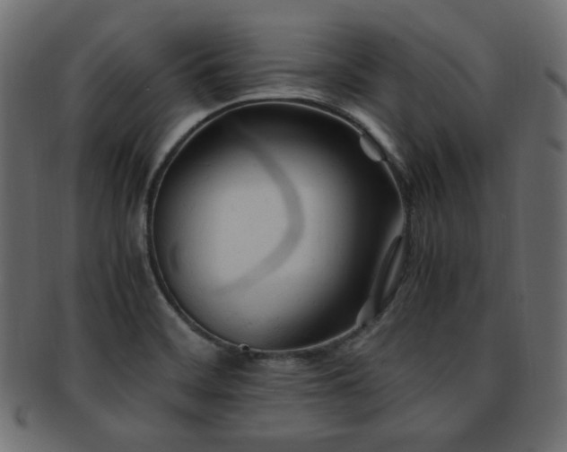 X0000092311468200709141343