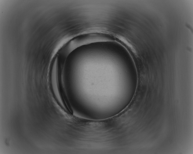 X0000092311469200709141343