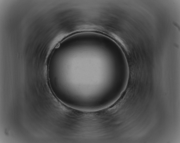 X0000092311472200709141343