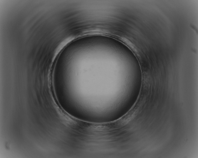 X0000092311474200709141343