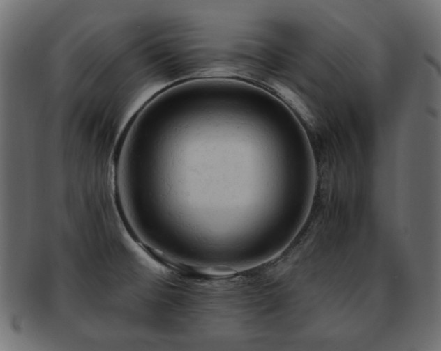 X0000092311476200709141343