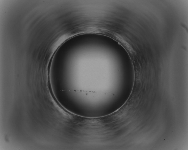 X0000092311479200709141343