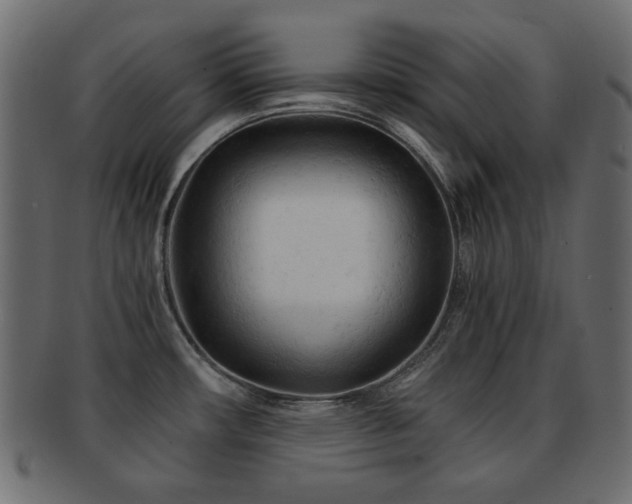 X0000092311482200709141343