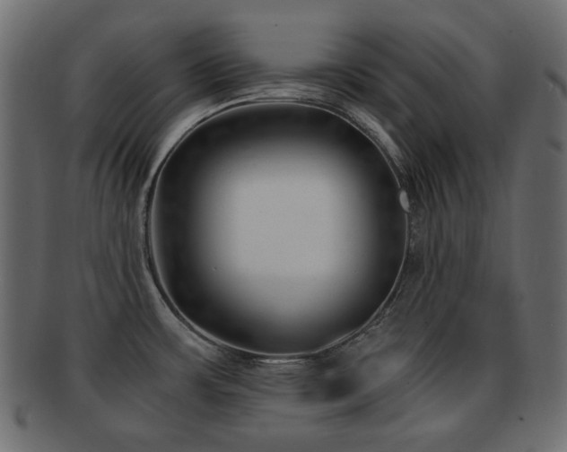 X0000092311483200709141343