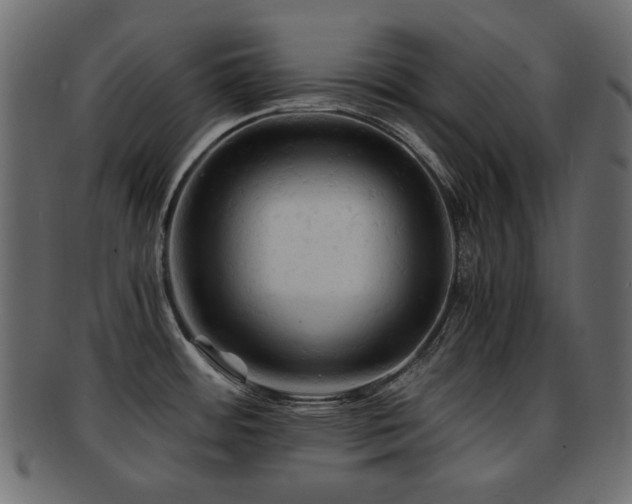 X0000092311484200709141343