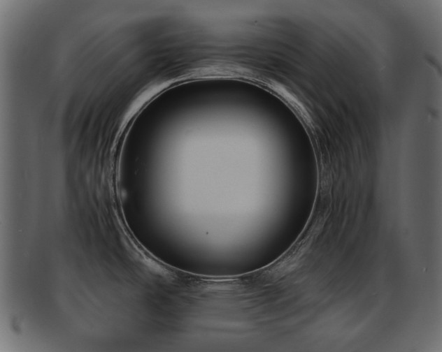 X0000092311486200709141343