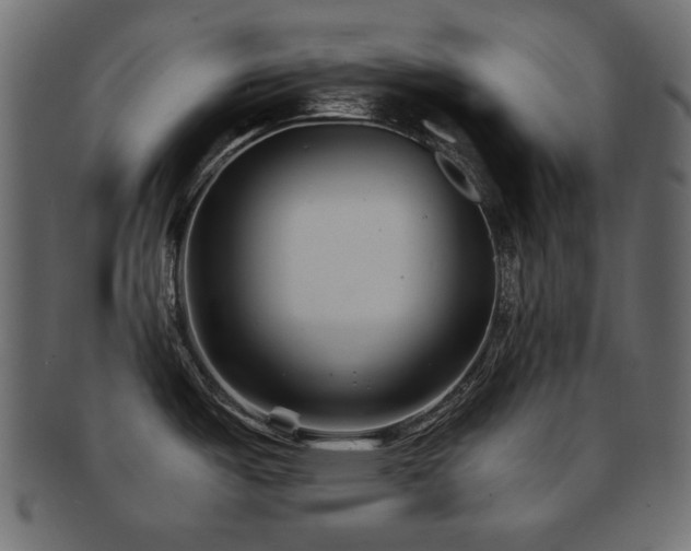 X0000092311487200709141343