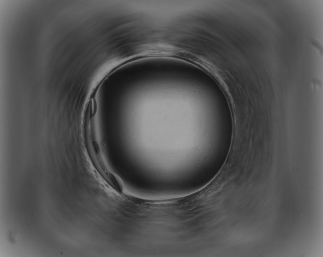 X0000092311488200709141343