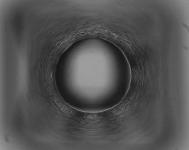 X0000092311489200709141342