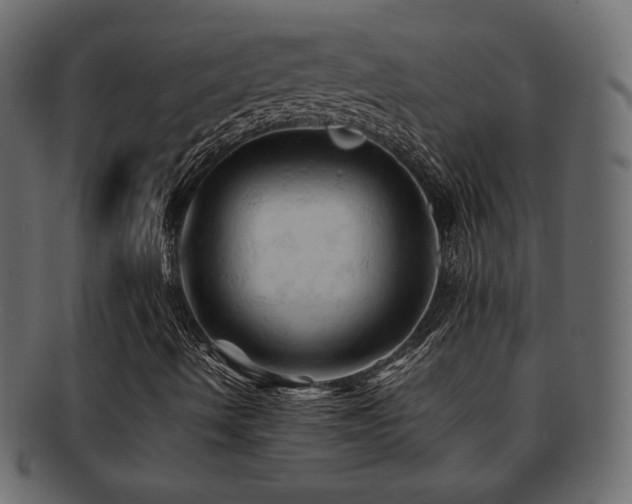 X0000092311490200709141342