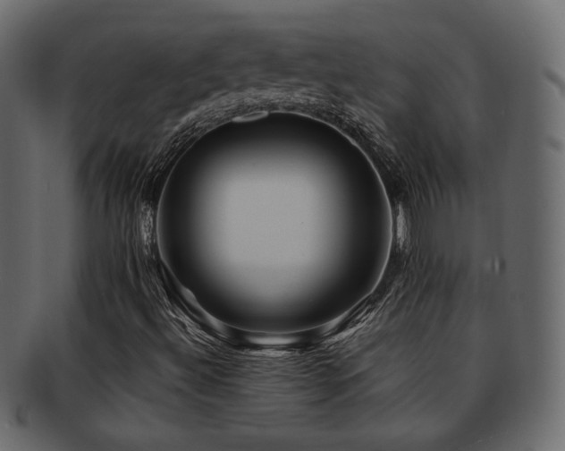 X0000092311492200709141342
