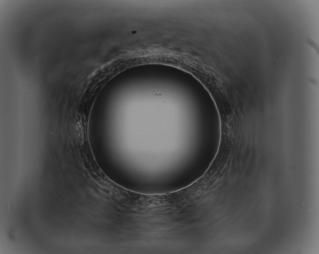X0000092311493200709141342