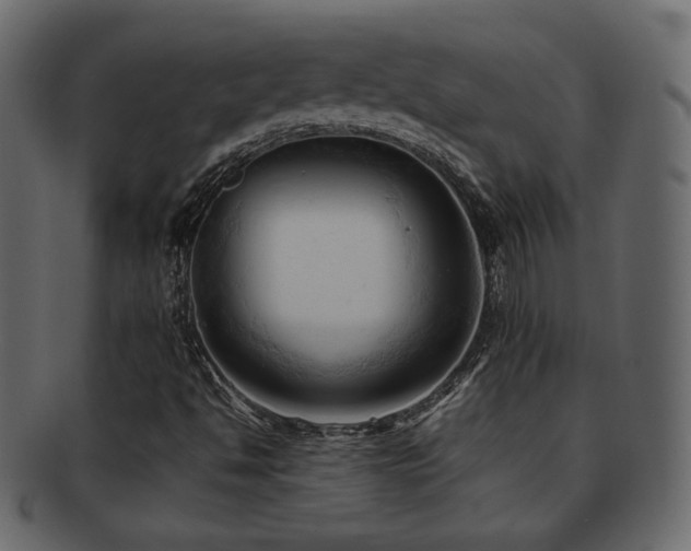 X0000092311494200709141342