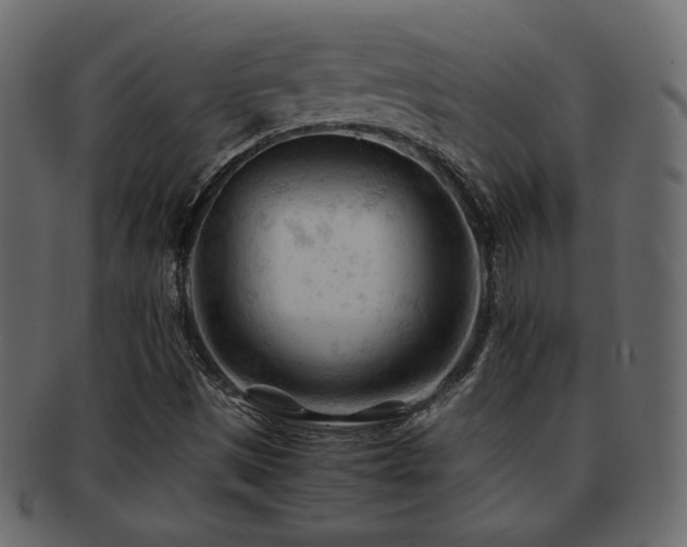 X0000092311497200709141342