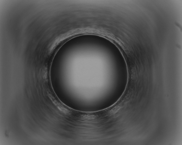 X0000092311499200709141342