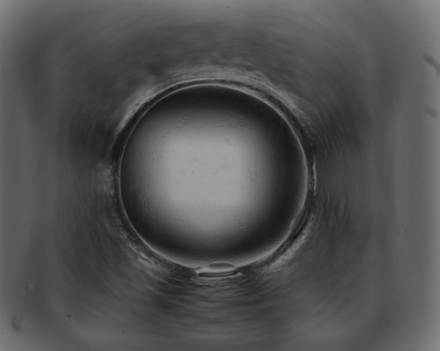 X0000092311501200709141342