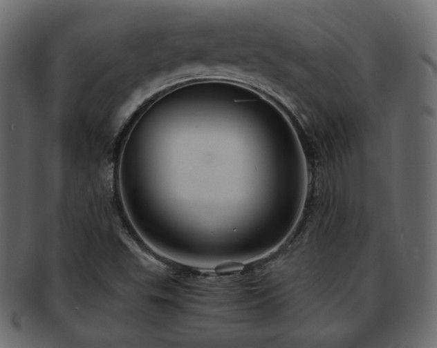 X0000092311503200709141342