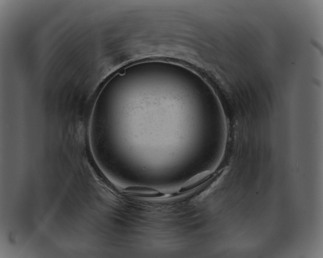 X0000092311505200709141342