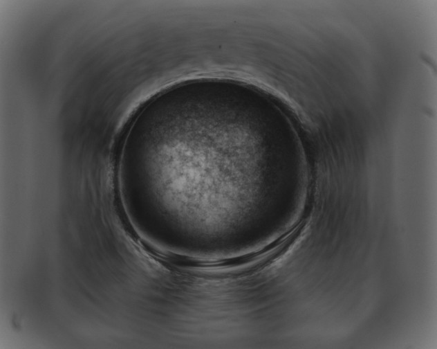 X0000092311506200709141342