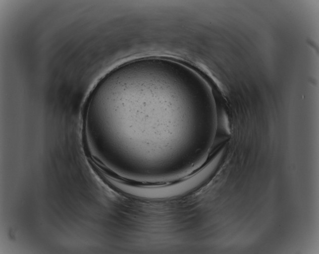 X0000092311508200709141342