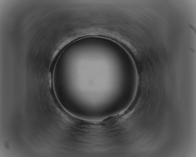 X0000092311509200709141342