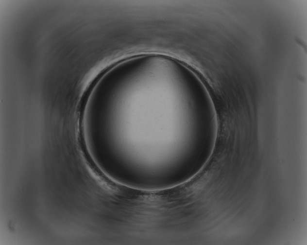 X0000092311511200709141343