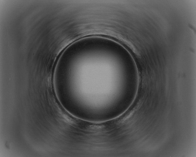 X0000092311513200709141343