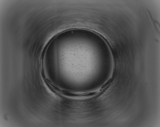 X0000092311515200709141343