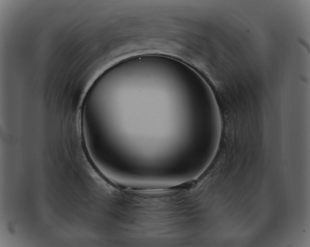X0000092311516200709141343
