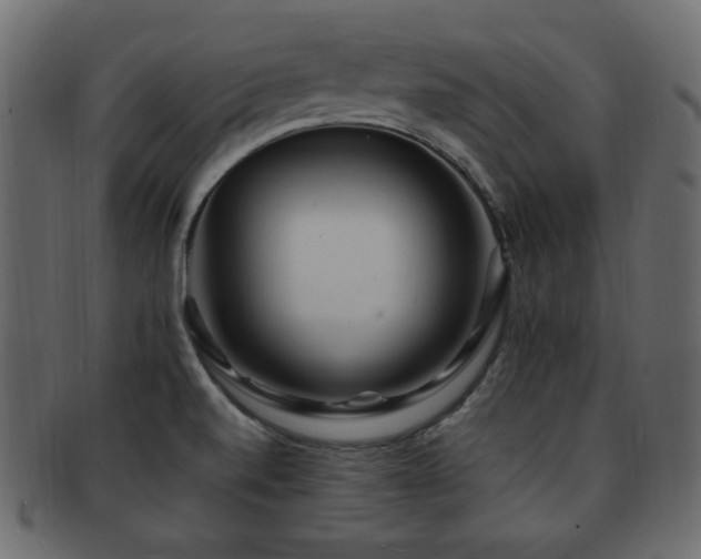 X0000092311520200709141343