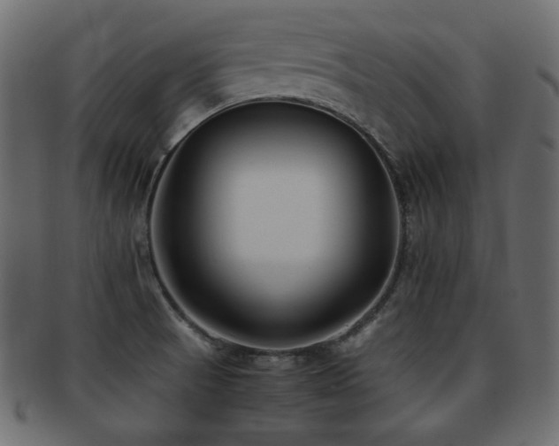 X0000092311521200709141343