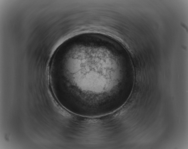 X0000092311522200709141343