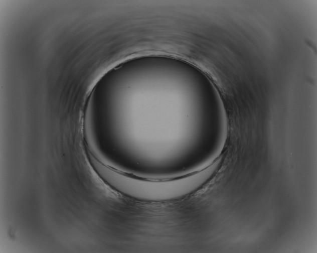X0000092311524200709141343