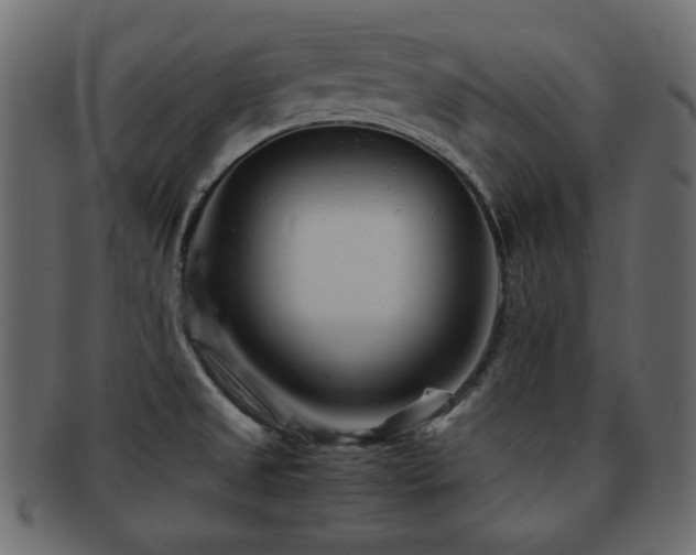 X0000092311525200709141343