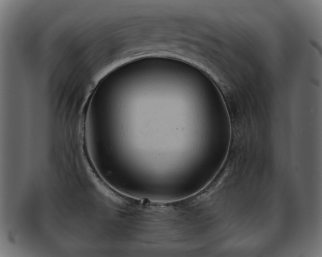 X0000092311526200709141343