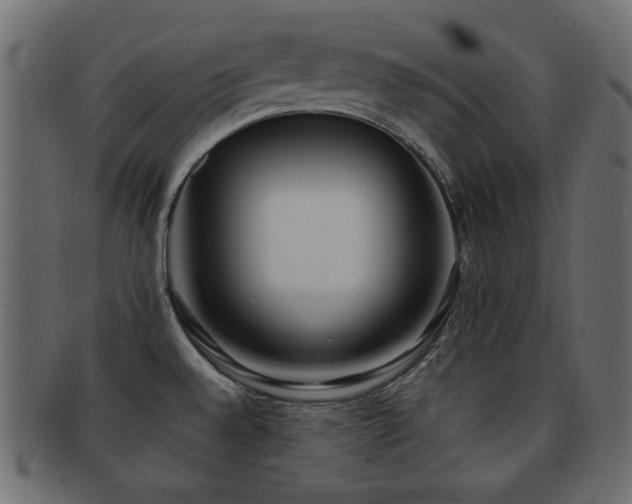 X0000092311528200709141343